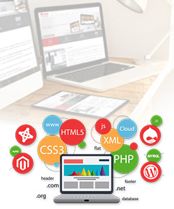 Web Design & Development